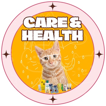 CARE HEALTH