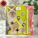 Cat Cute Harness - Image 2