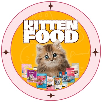 KITTEN FOOD