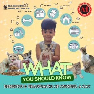 Pet Shop Instagram Story Custom