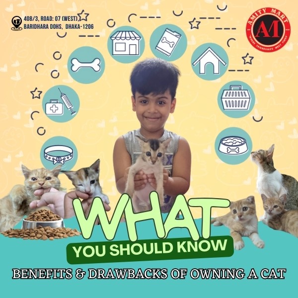 Pet Shop Instagram Story Custom