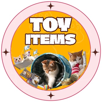 TOY ITEMS