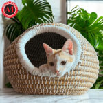 Cat & Pet Houses Ball / Round Shaped House - Image 2