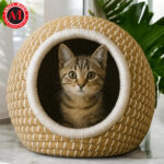Cat & Pet Houses Ball / Round Shaped House