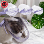 Kitten Cat Grooming Pet Mouth Cone Cover Anti-Bite Cat Mask / Cat Muzzle Transparent - Image 3