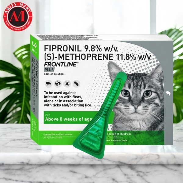 Copy of Orange and Yellow Playful International Cat Day Discount Cat Food Instagram Post