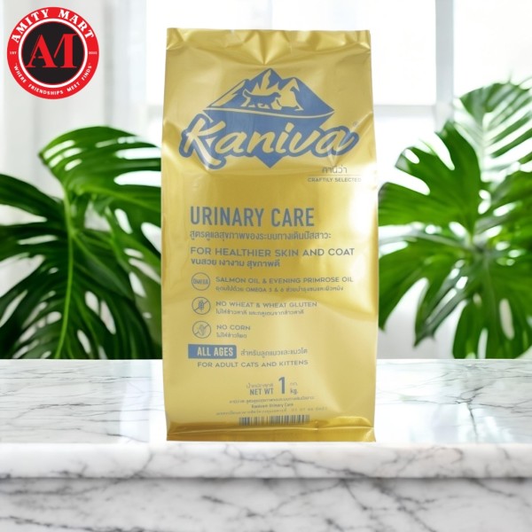 Copy of Untitled Design 3