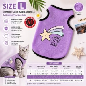 Copy of Orange and Yellow Playful International Cat Day Discount Cat Food Instagram Post 22