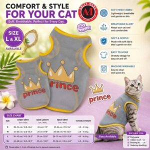 Copy of Orange and Yellow Playful International Cat Day Discount Cat Food Instagram Post 25