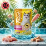 Kitten Starter Combo Package! 😍 - Image 7