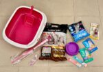 Kitten Starter Combo Package! 😍 - Image 18