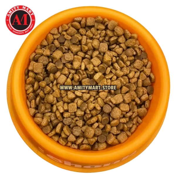 34o gm 16