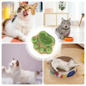 cat paw cakes12 1764864997