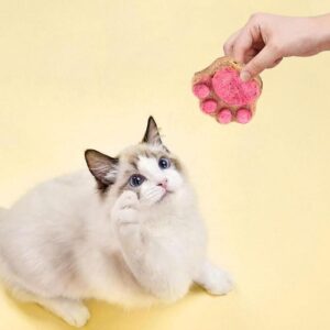 cat paw cakes9 1764864997