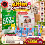 Kitten Care Bundle | Complete Food, Treat & Litter Combo (Combo 4)